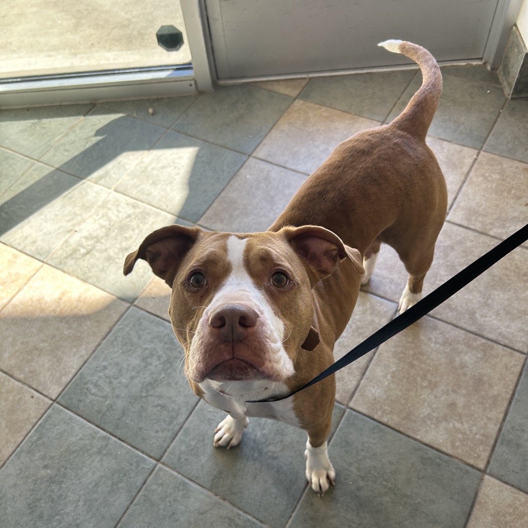 Björk — thumbnail 3