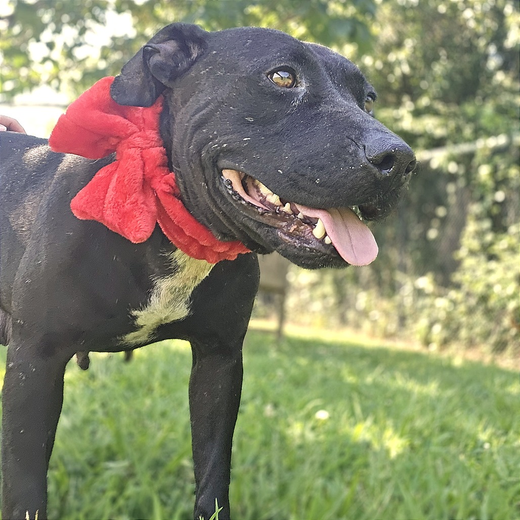 Brooklyn — thumbnail 5