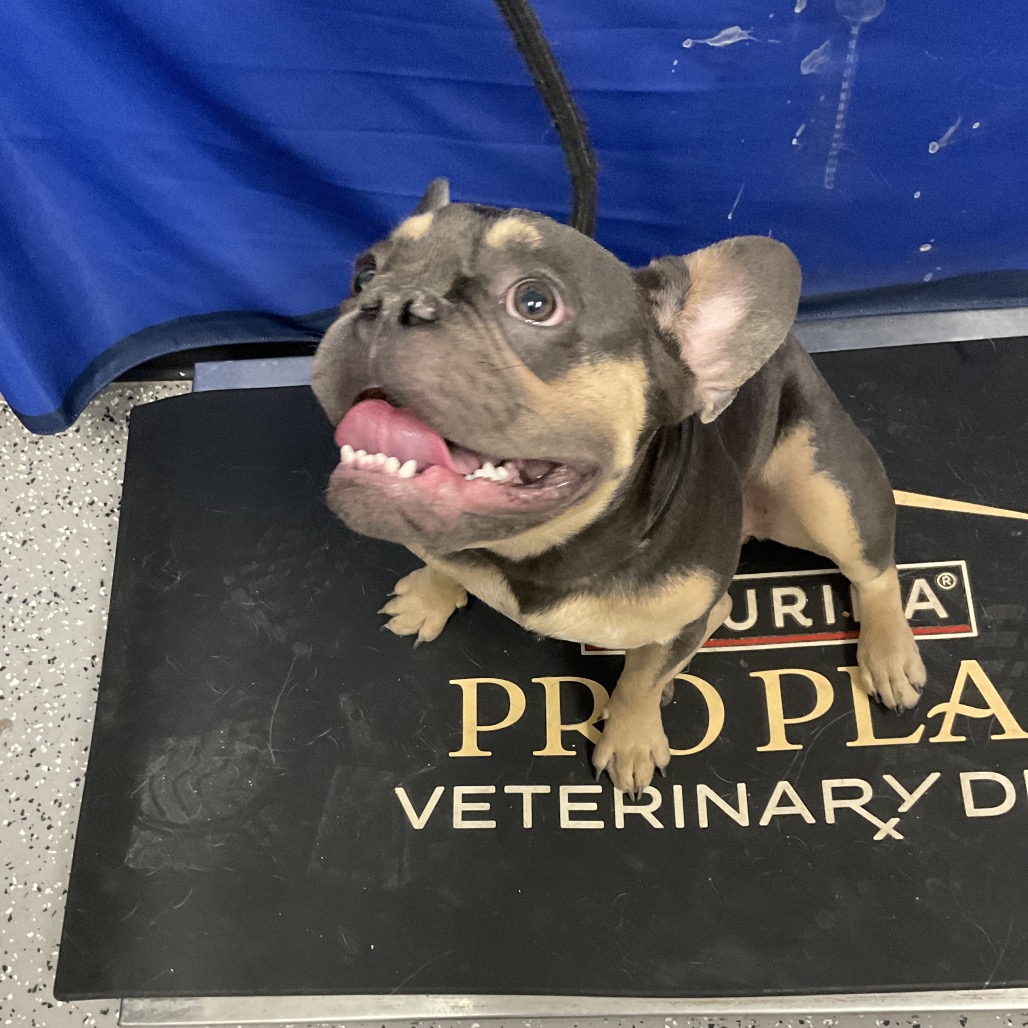 HACC-STRAY-36798_2
