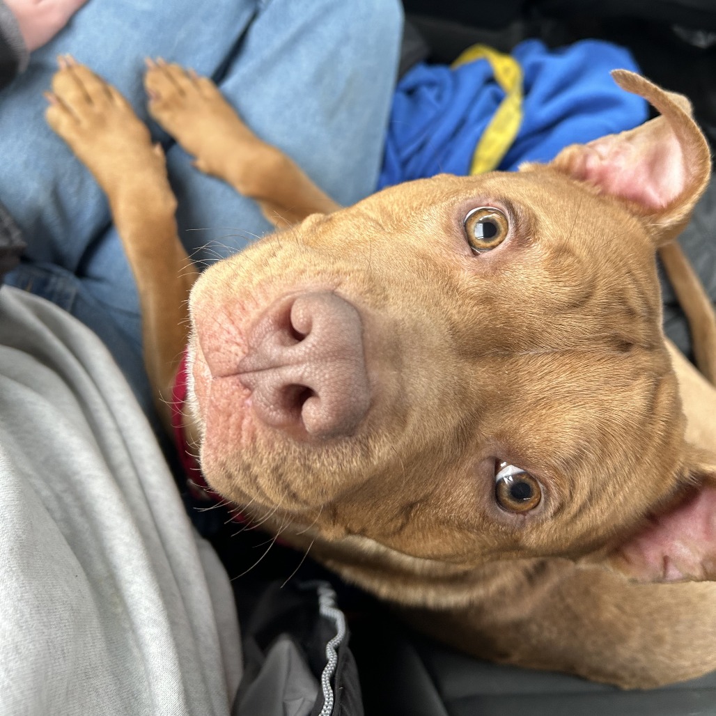 Photo of Minestrone 15