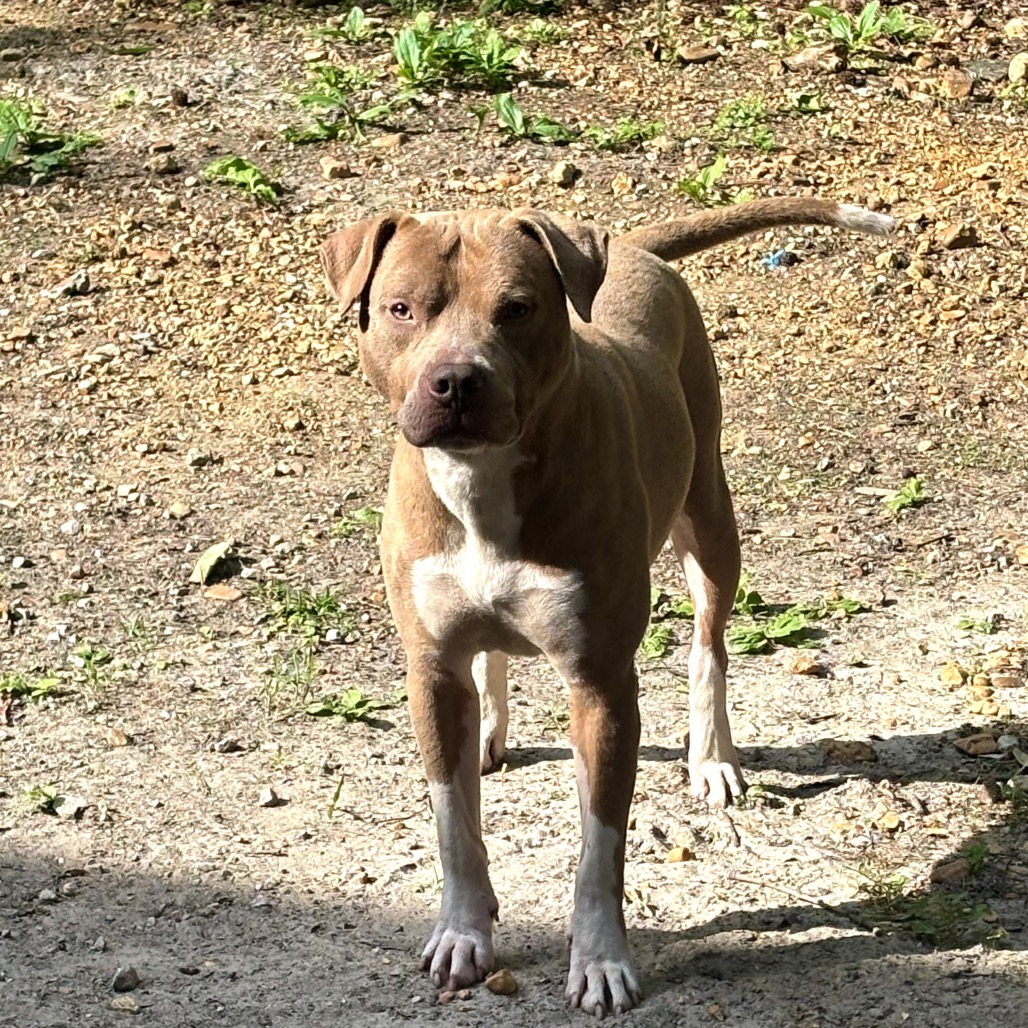 Manny formerly Lil Man, photo 7