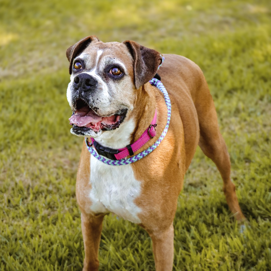 LOUISE, photo 9