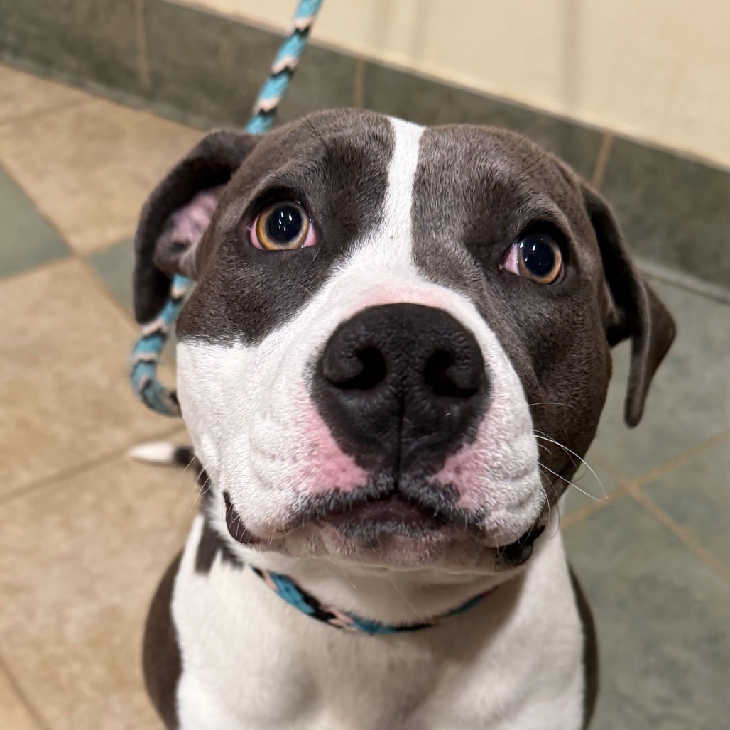 Luna Moon — thumbnail 10