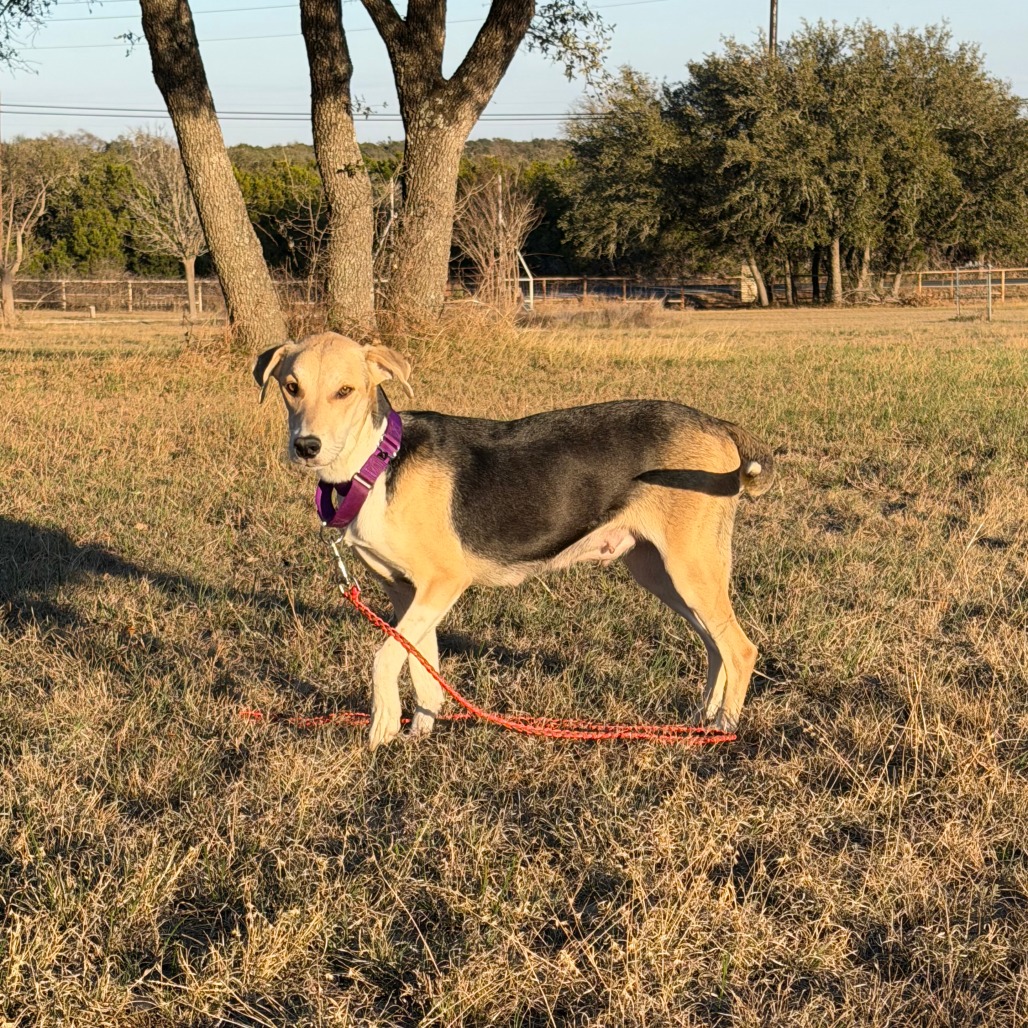 Princess Peach — thumbnail 10