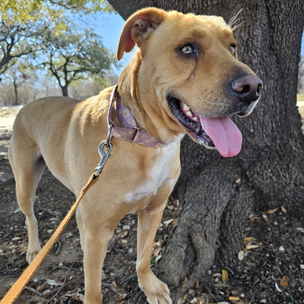 Maisy — thumbnail 7