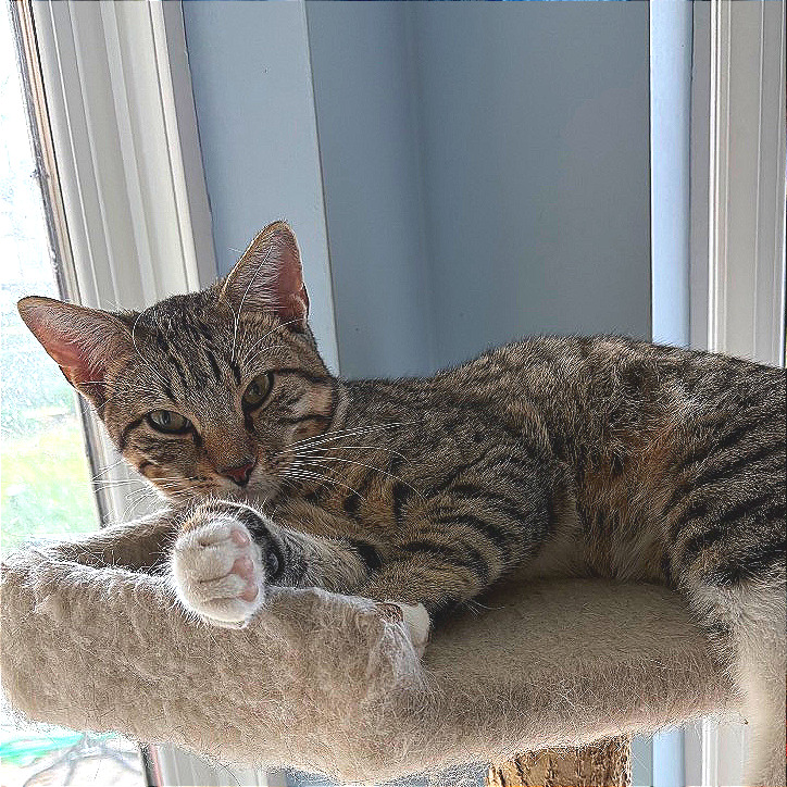 Timothy, photo 3