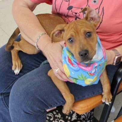 Ruby