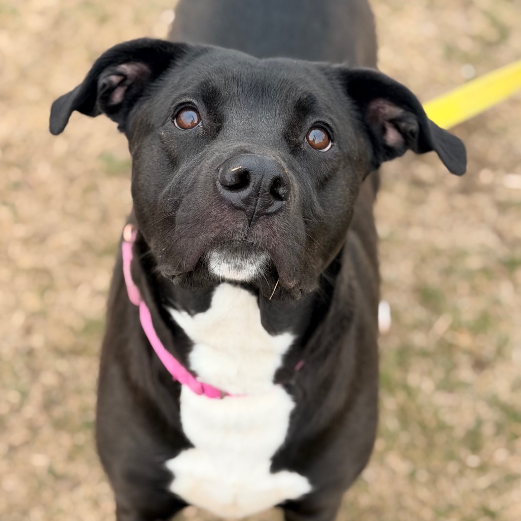 Thena — thumbnail 5