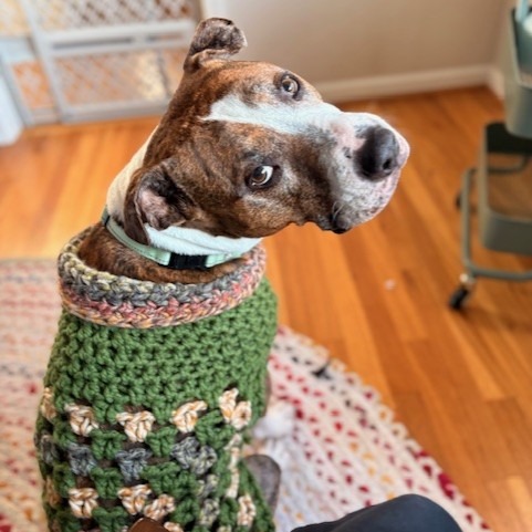 Jax, additional photo