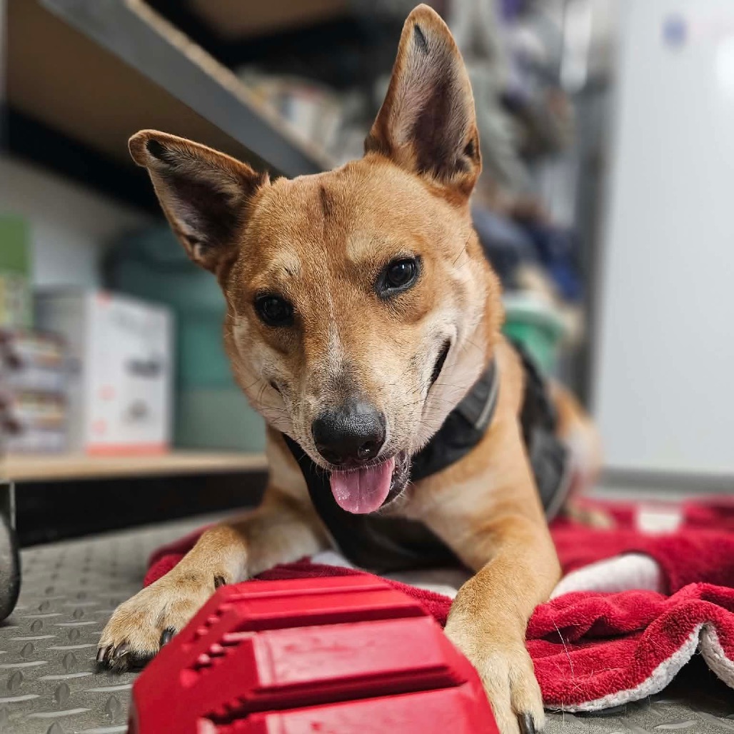 Reagan, photo 24