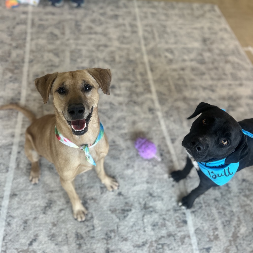 Simon — thumbnail 3