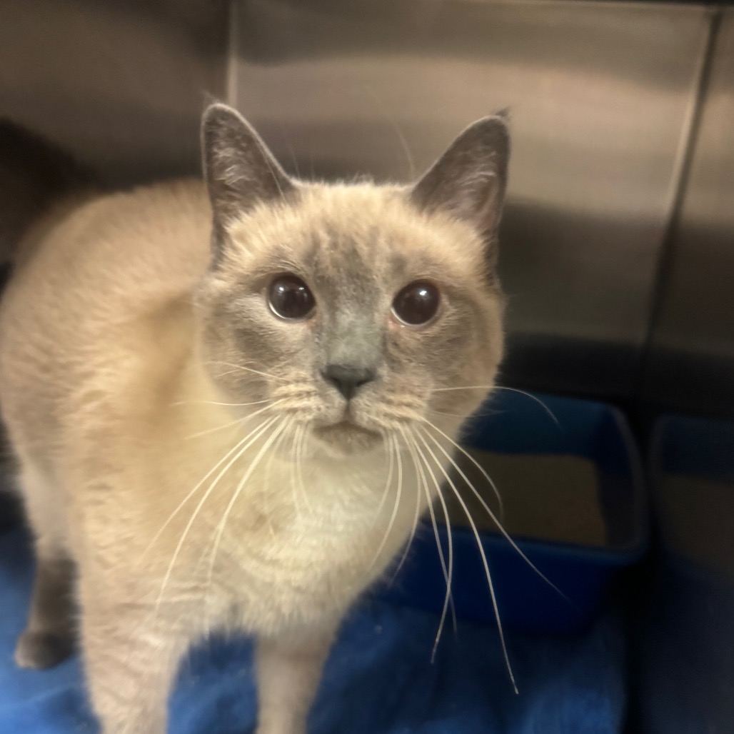 fb5906d5755873d216a2aadb0df0d5e8