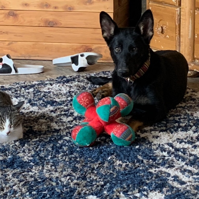 Amore — thumbnail 2