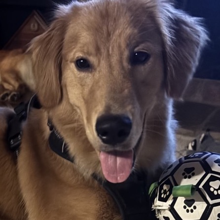Cooper