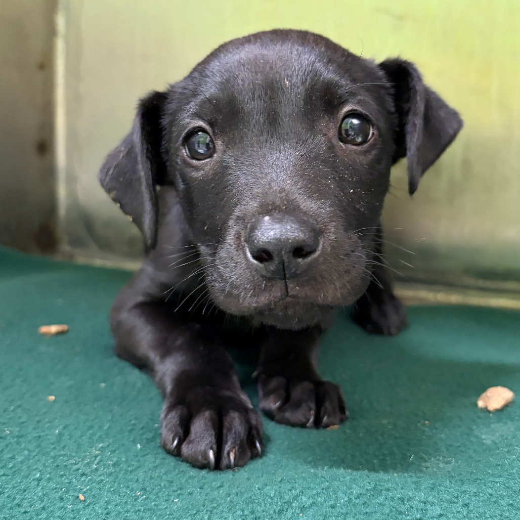 Float — thumbnail 11