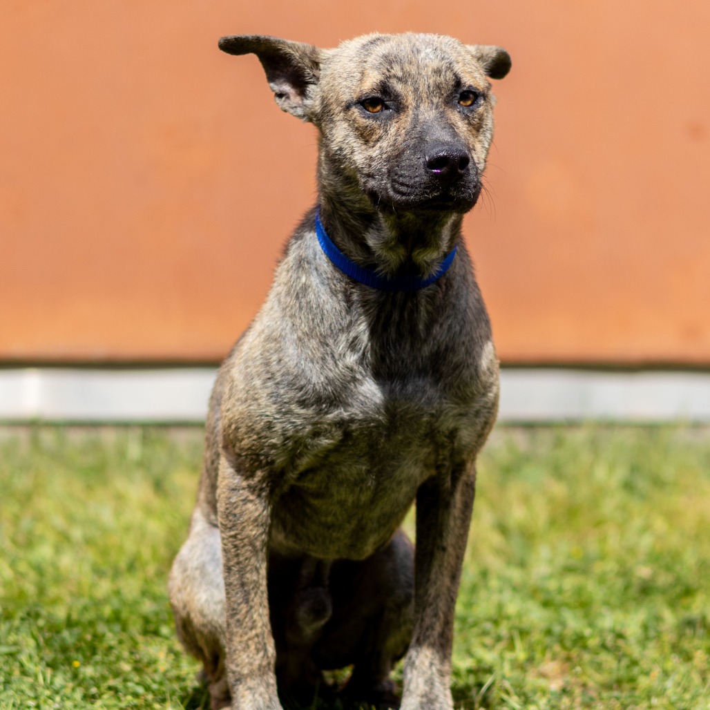 Kennel#22 Bruce's preview photo