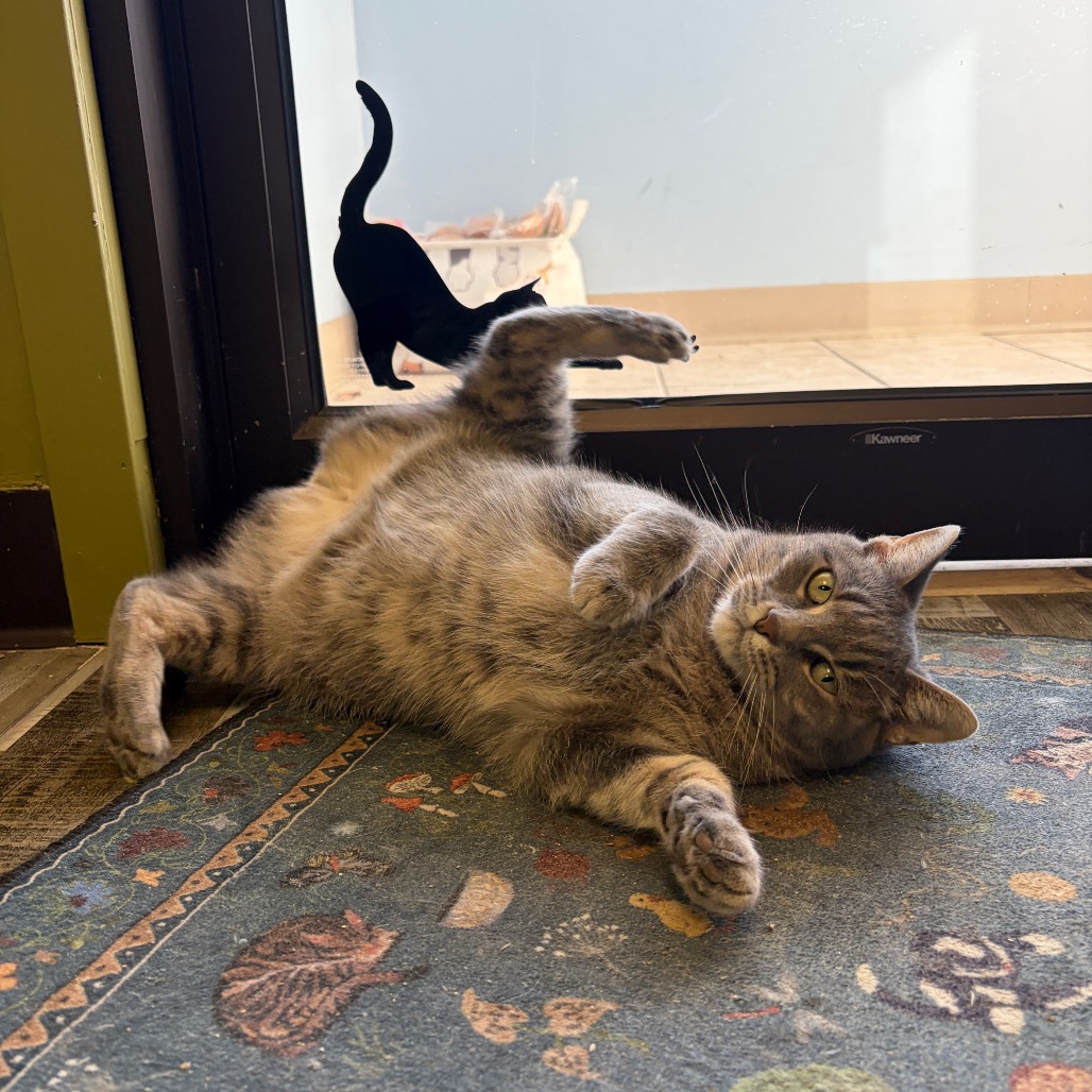 Olive G., photo 11