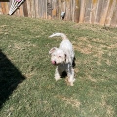 Jackson, photo 3