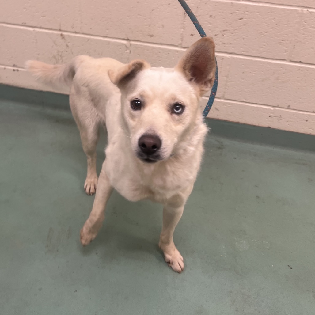 Pablo Picasso — thumbnail 2