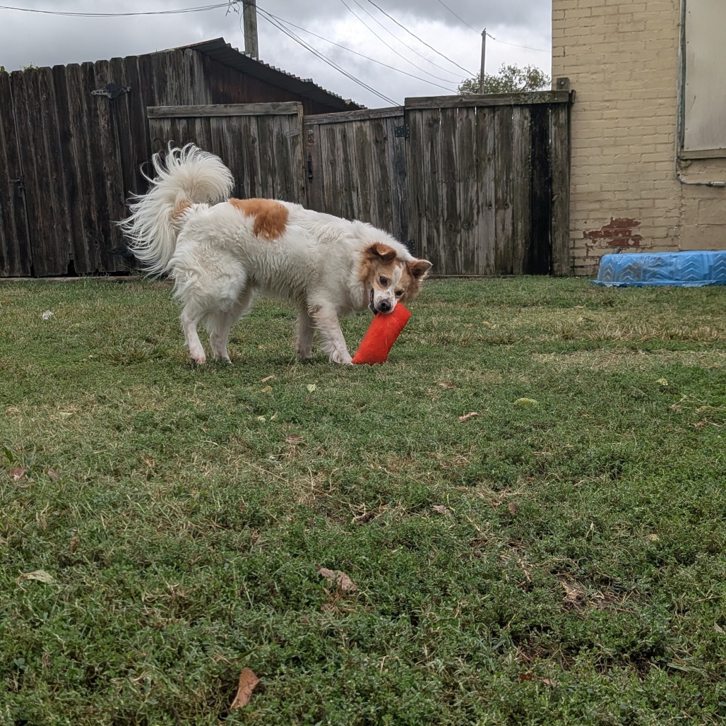 Sandy photo 7