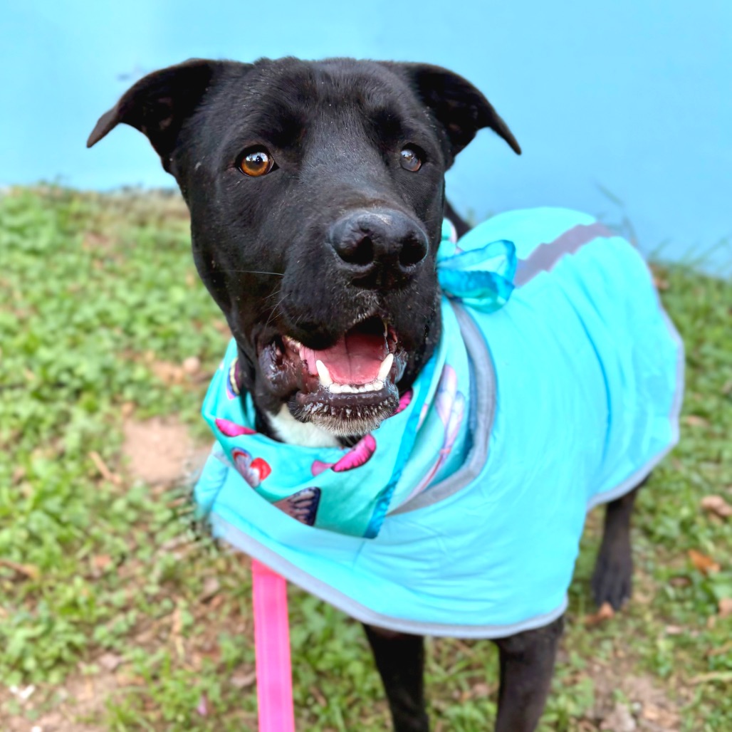 Celebrity Sighting — thumbnail 11