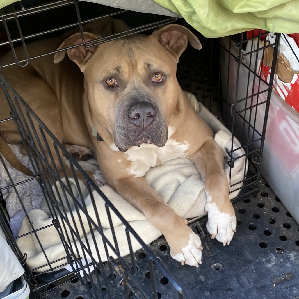 Blue — thumbnail 2