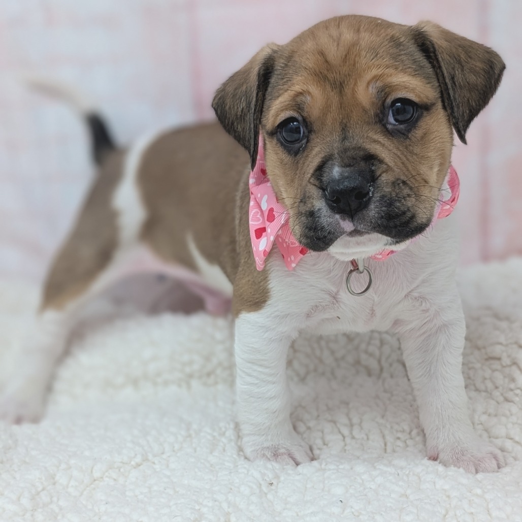 Hugs — thumbnail 5