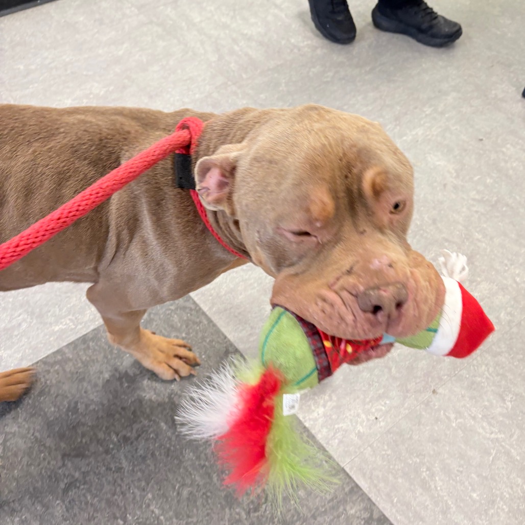 Flynn Ryder — thumbnail 5