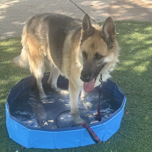 Kaiser