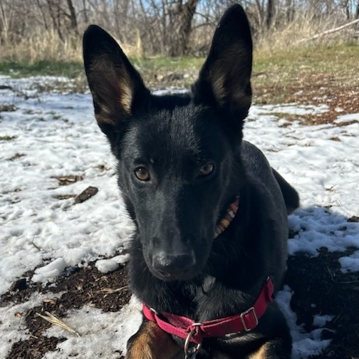 Amore — thumbnail 4