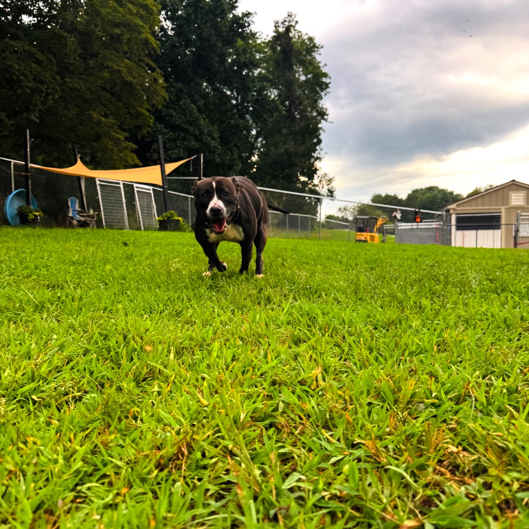 Wednesday, photo 22