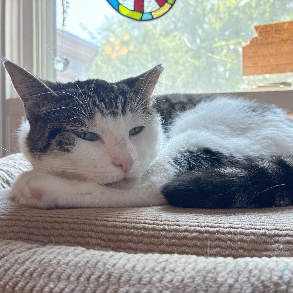 Lucy, photo 29