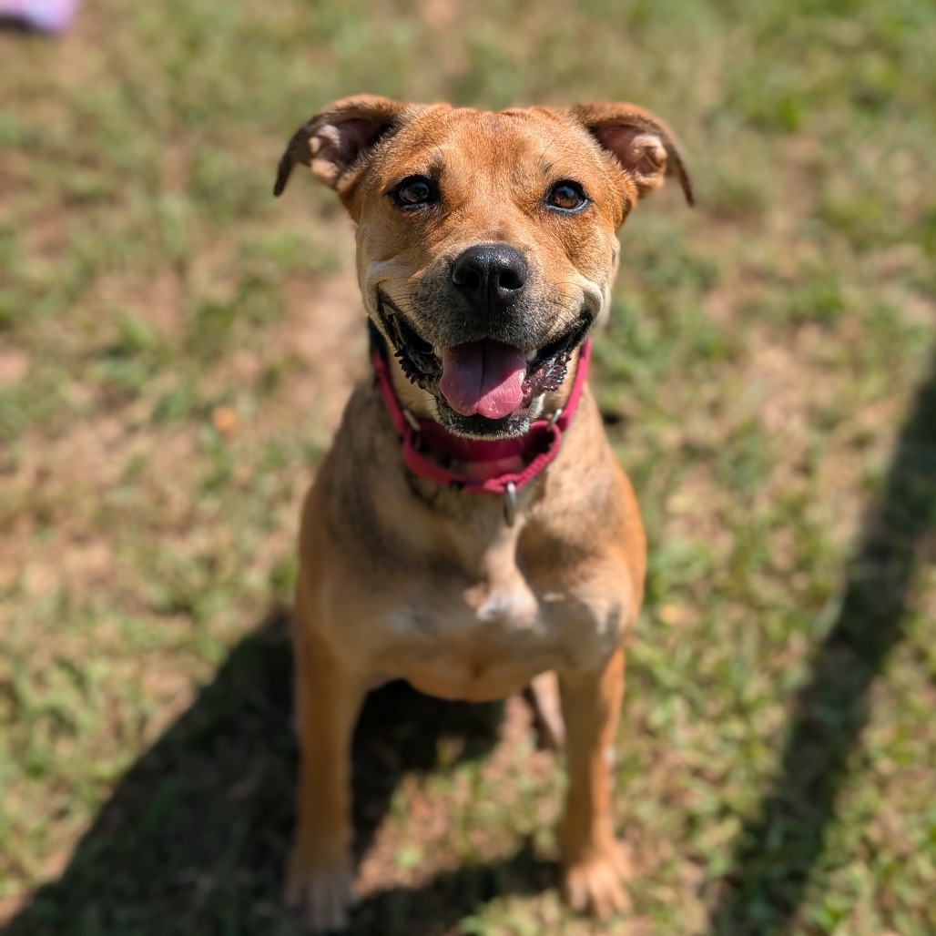 Penny