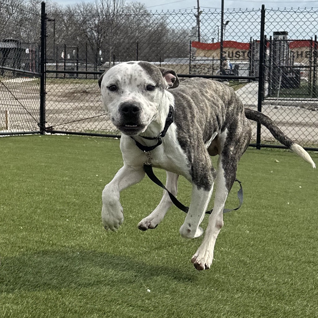 Stacks — thumbnail 3