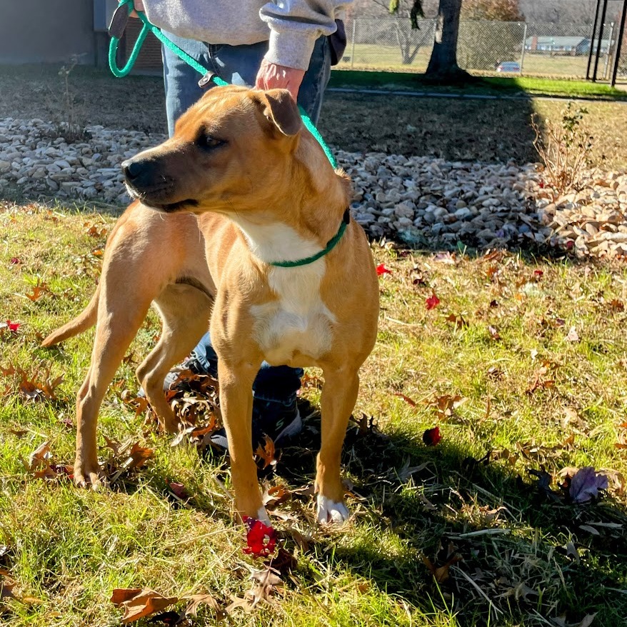 Honey — thumbnail 5