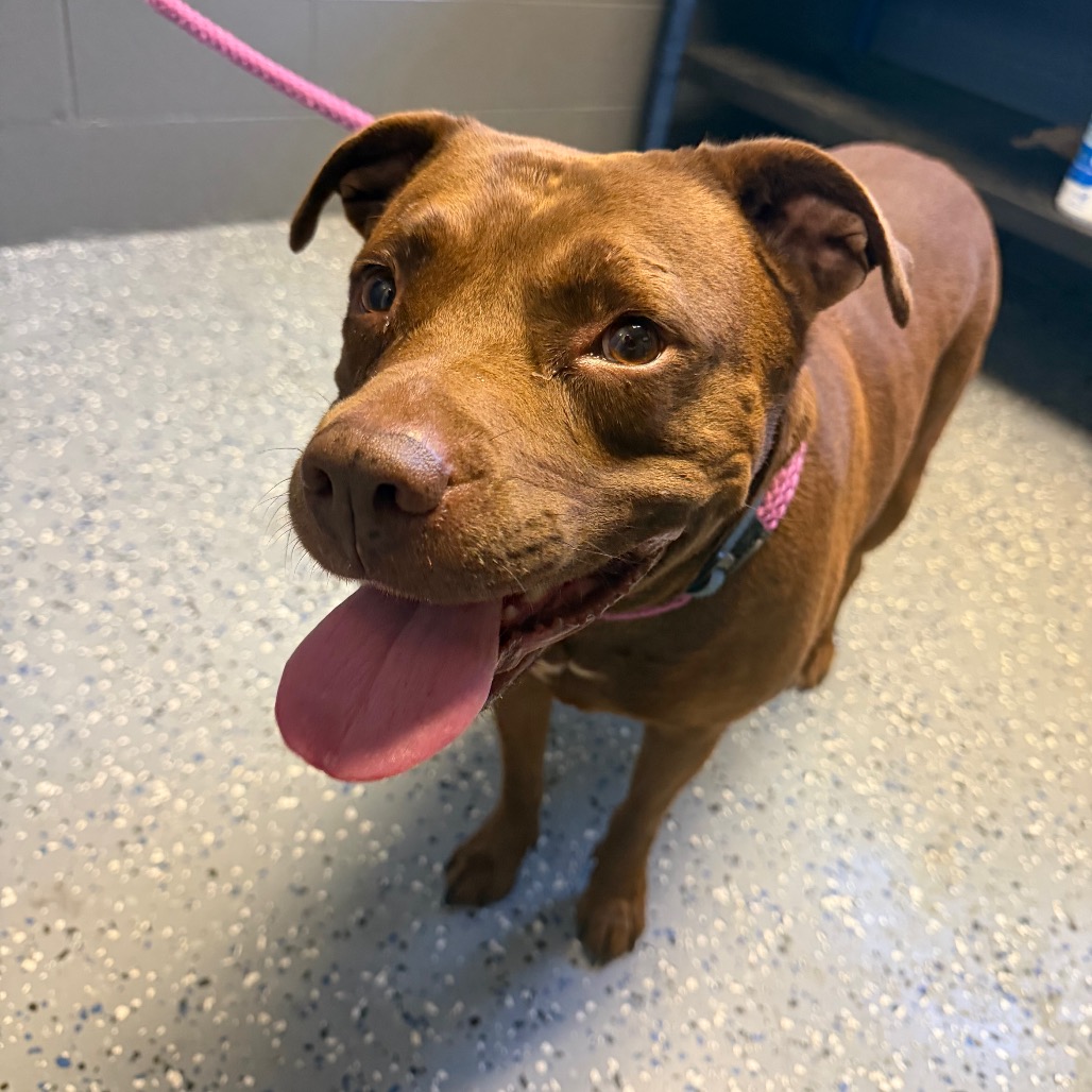 Red Aka Pretty Girl