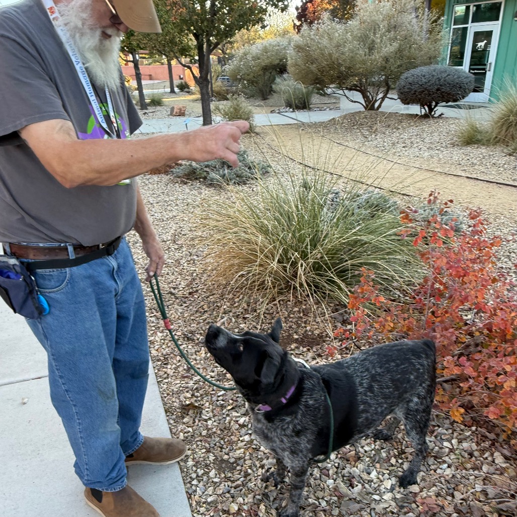 Josie — thumbnail 4