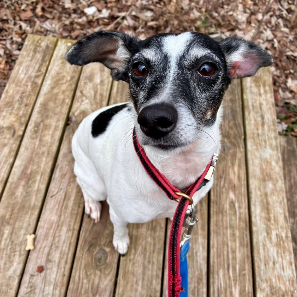 Casey — thumbnail 7