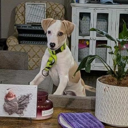 Photo of Chance
