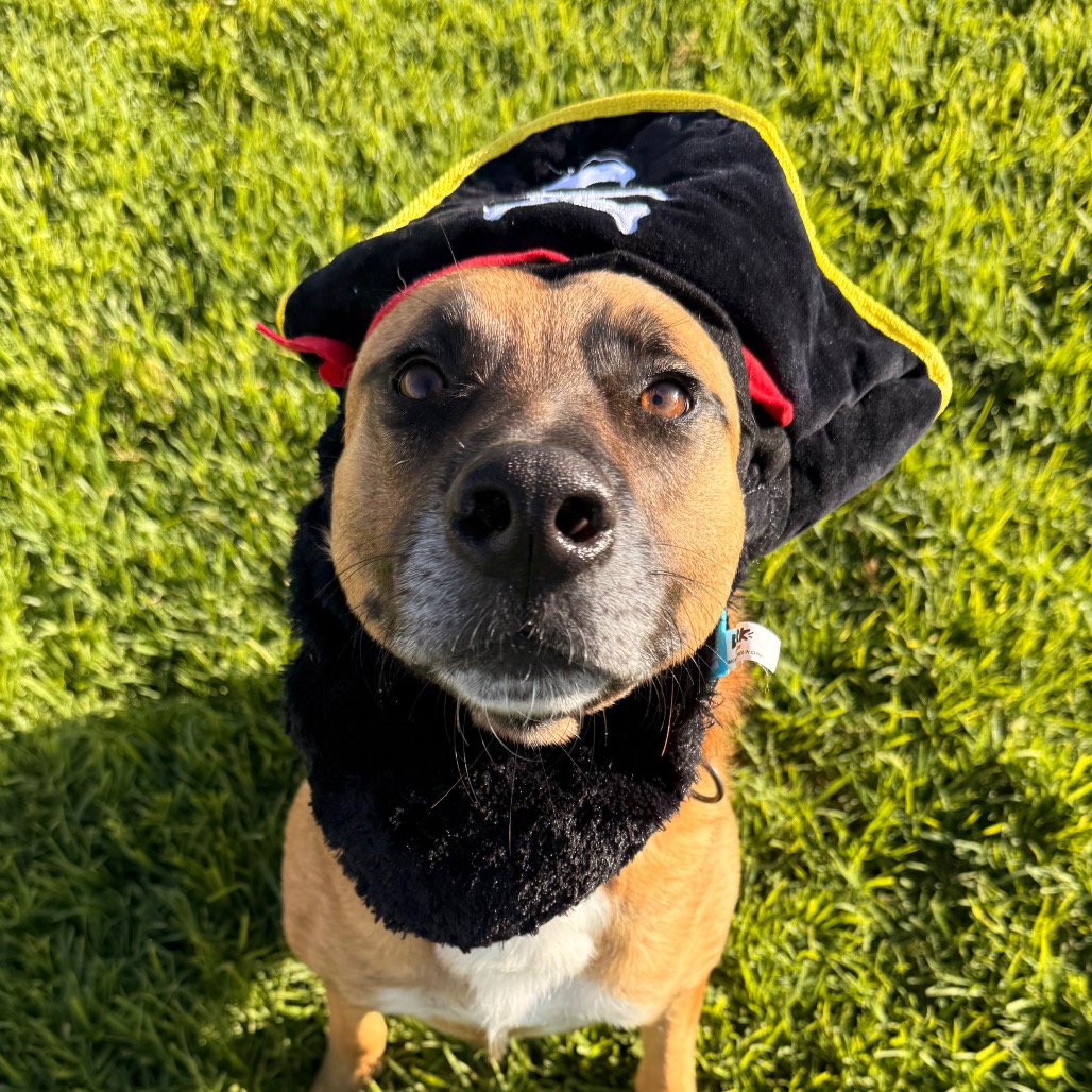 Bubz, photo 37