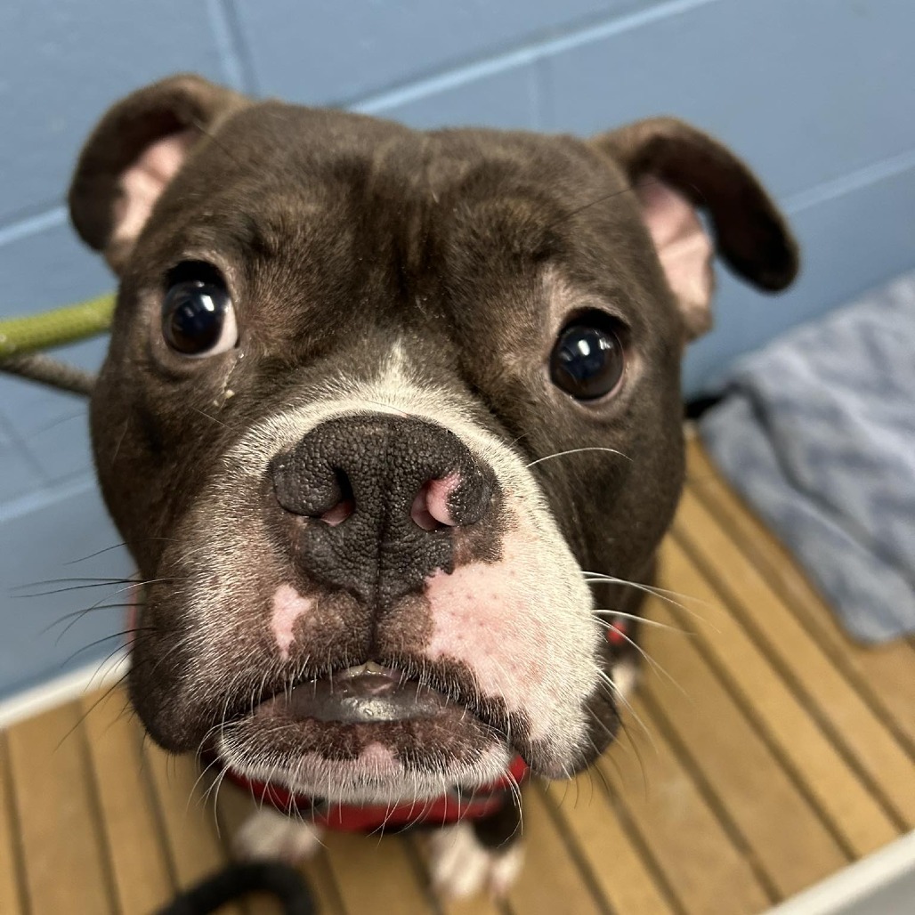 Mark — thumbnail 7