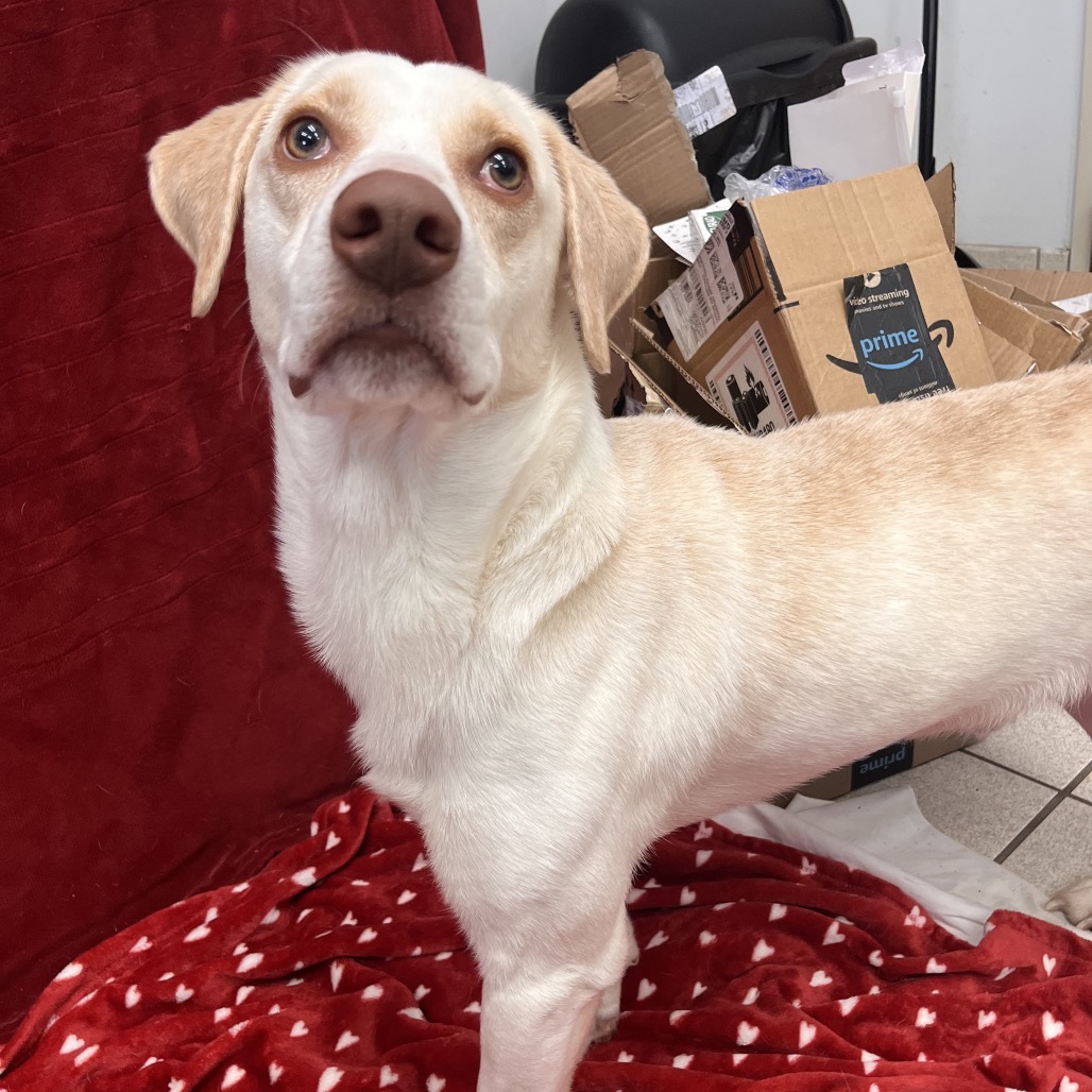 Tid-bit — thumbnail 4