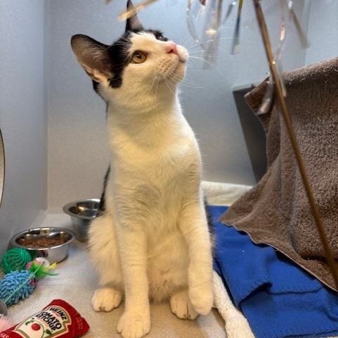 Photo of Huey Lewis 8