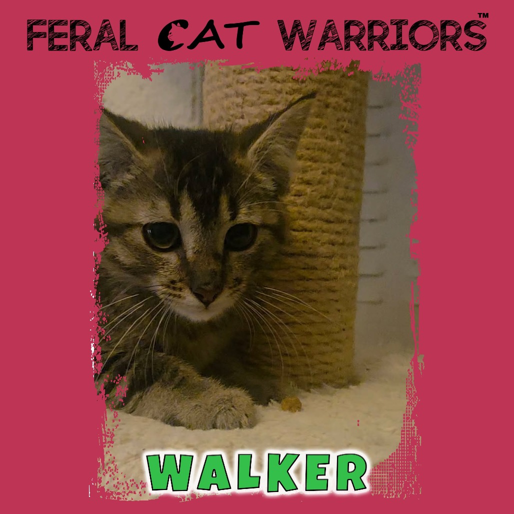 Walker