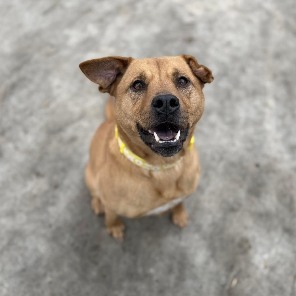 Winnie — thumbnail 7