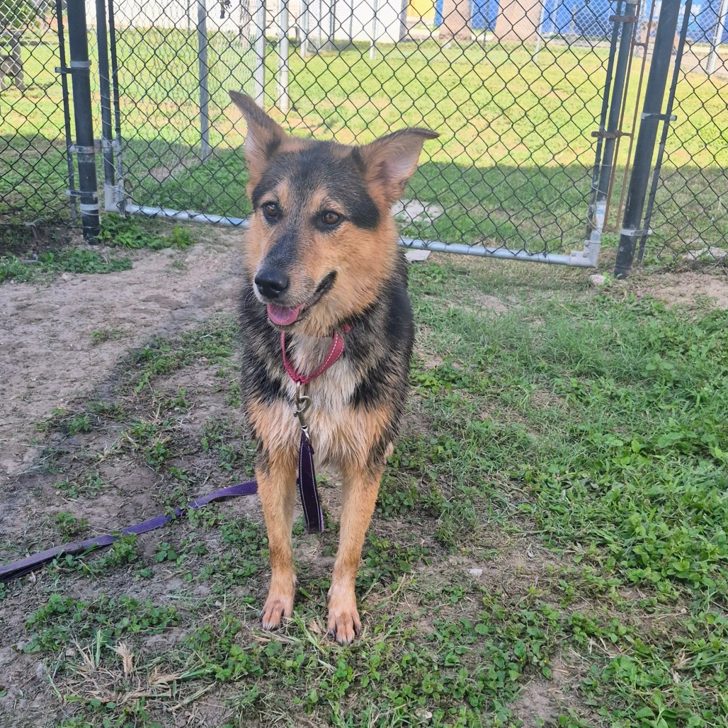Winnie, photo 13