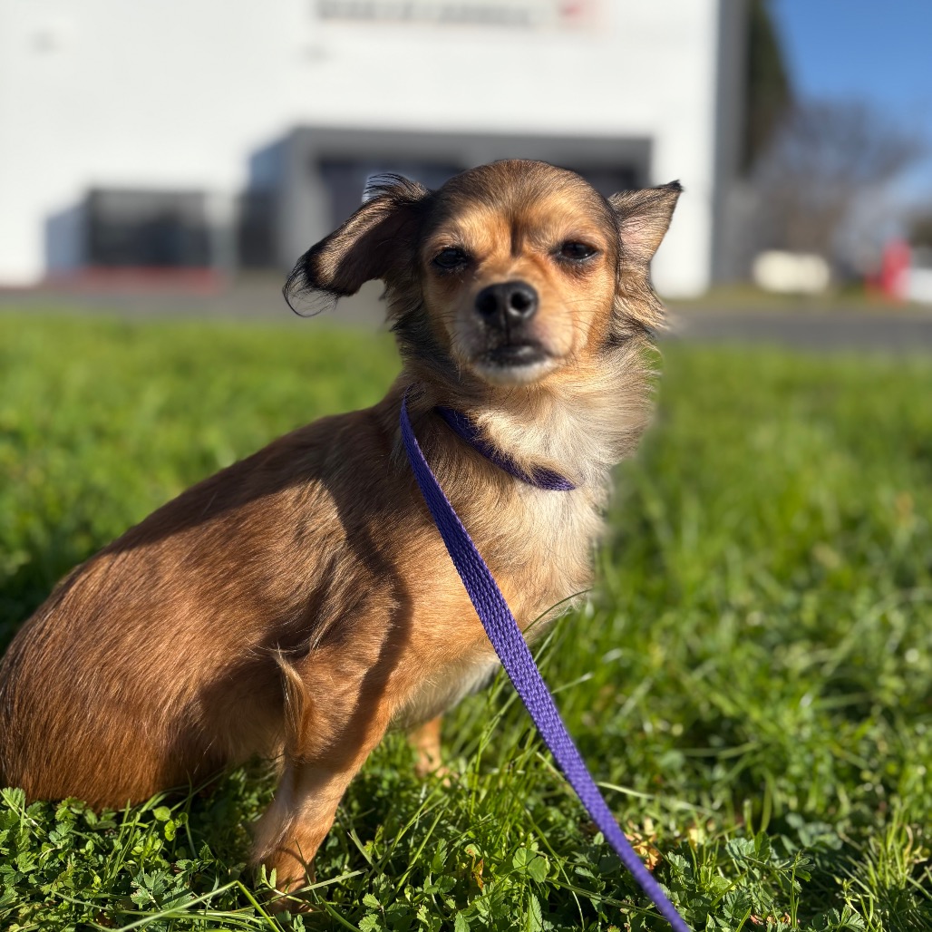 Gabby — thumbnail 4