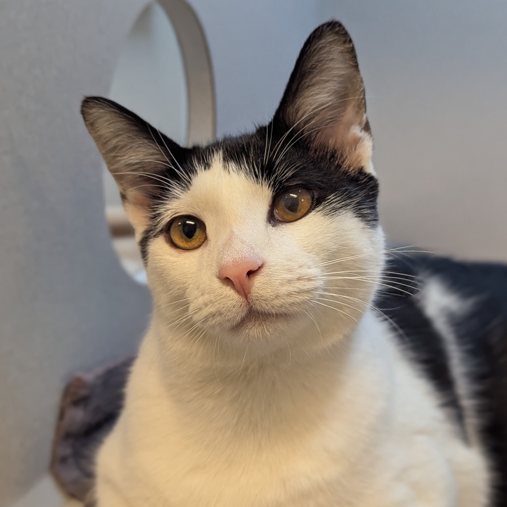 Photo of Huey Lewis 5