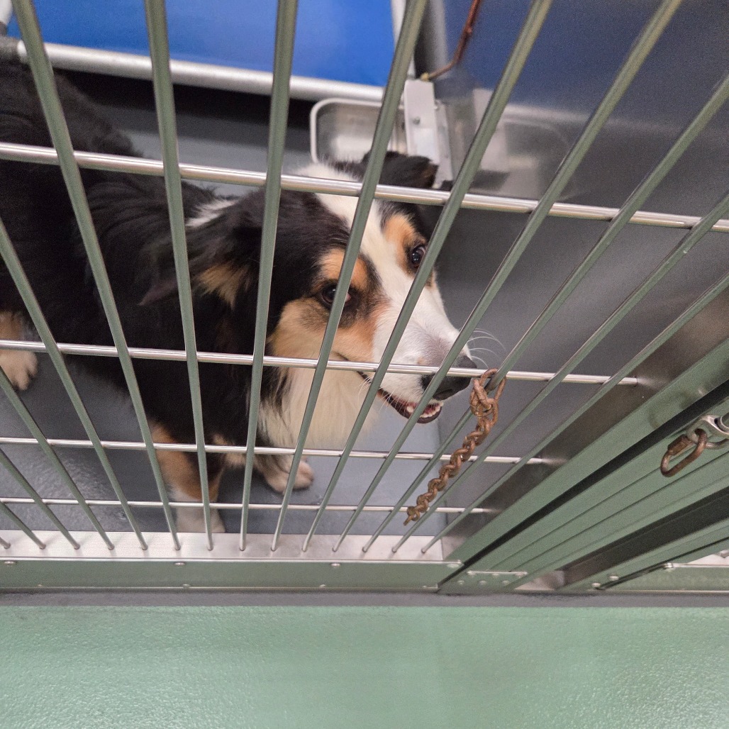 Kai — thumbnail 10