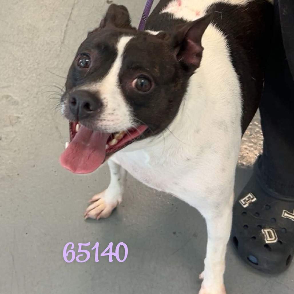 LENA — thumbnail 2